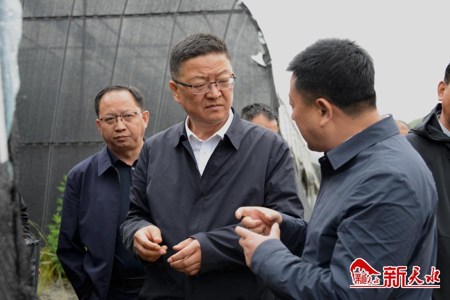 2025澳门免费资料大全100%